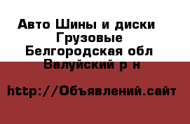 Авто Шины и диски - Грузовые. Белгородская обл.,Валуйский р-н